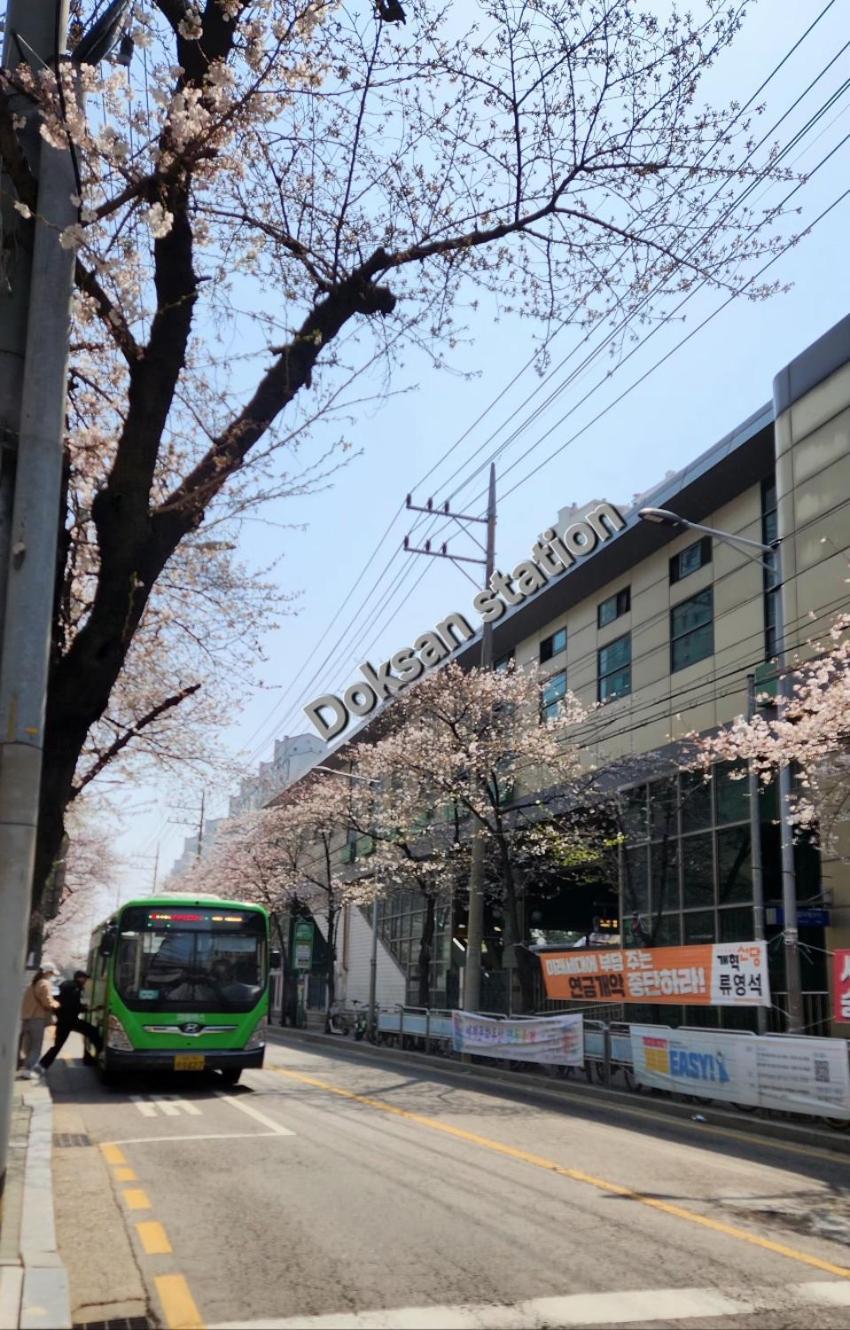 La Maison De Seoul